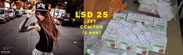амф Дмитриев