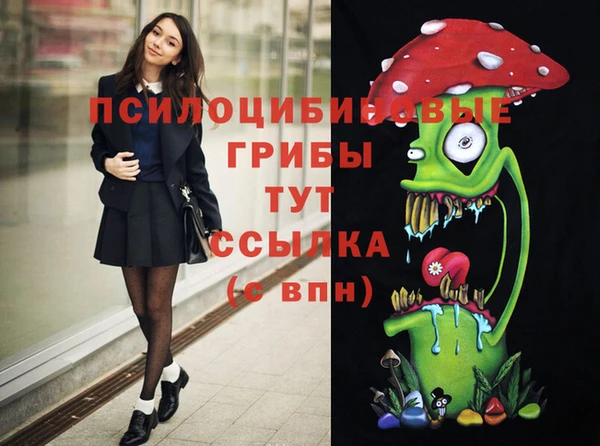 амф Дмитриев