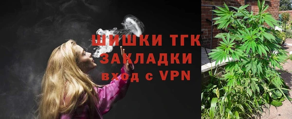 гидра Анжеро-Судженск