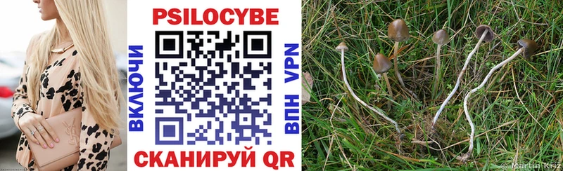 купить наркотики цена  Железноводск  Галлюциногенные грибы Psilocybine cubensis 